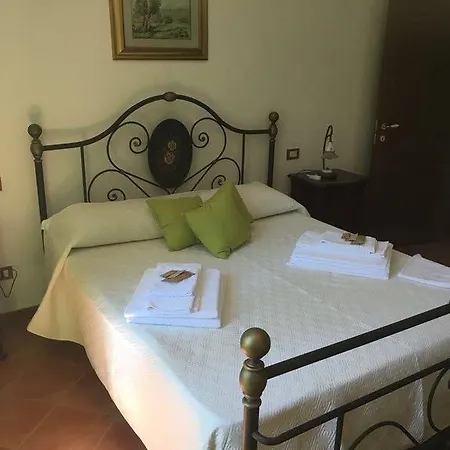 Franca * Noci